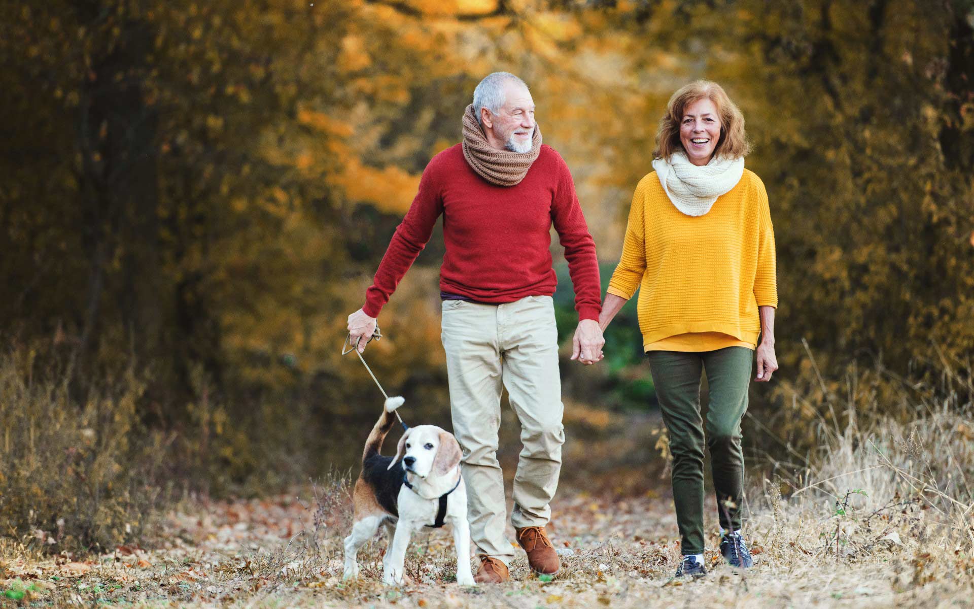 How-Do-Dental-Implants-Work-And-Are-They-Right-For-Me